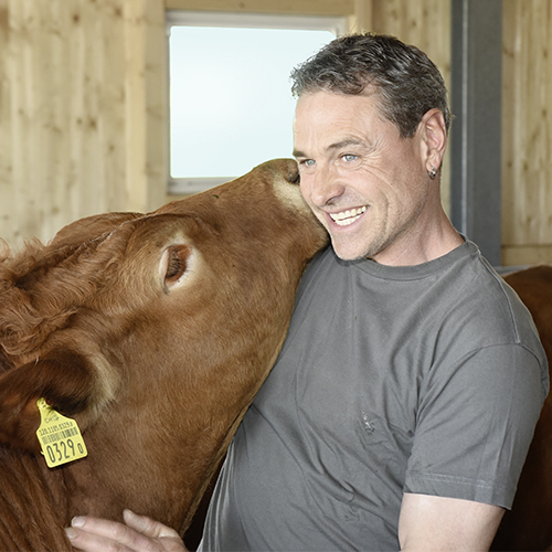 DD-Beef Unternehmensauftritt