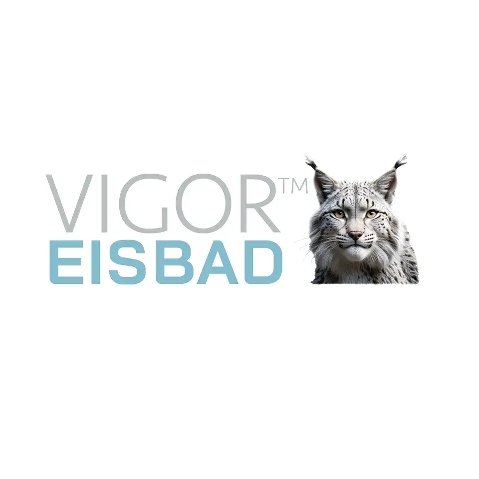 Branding Eisbad Hotspring Logodesign