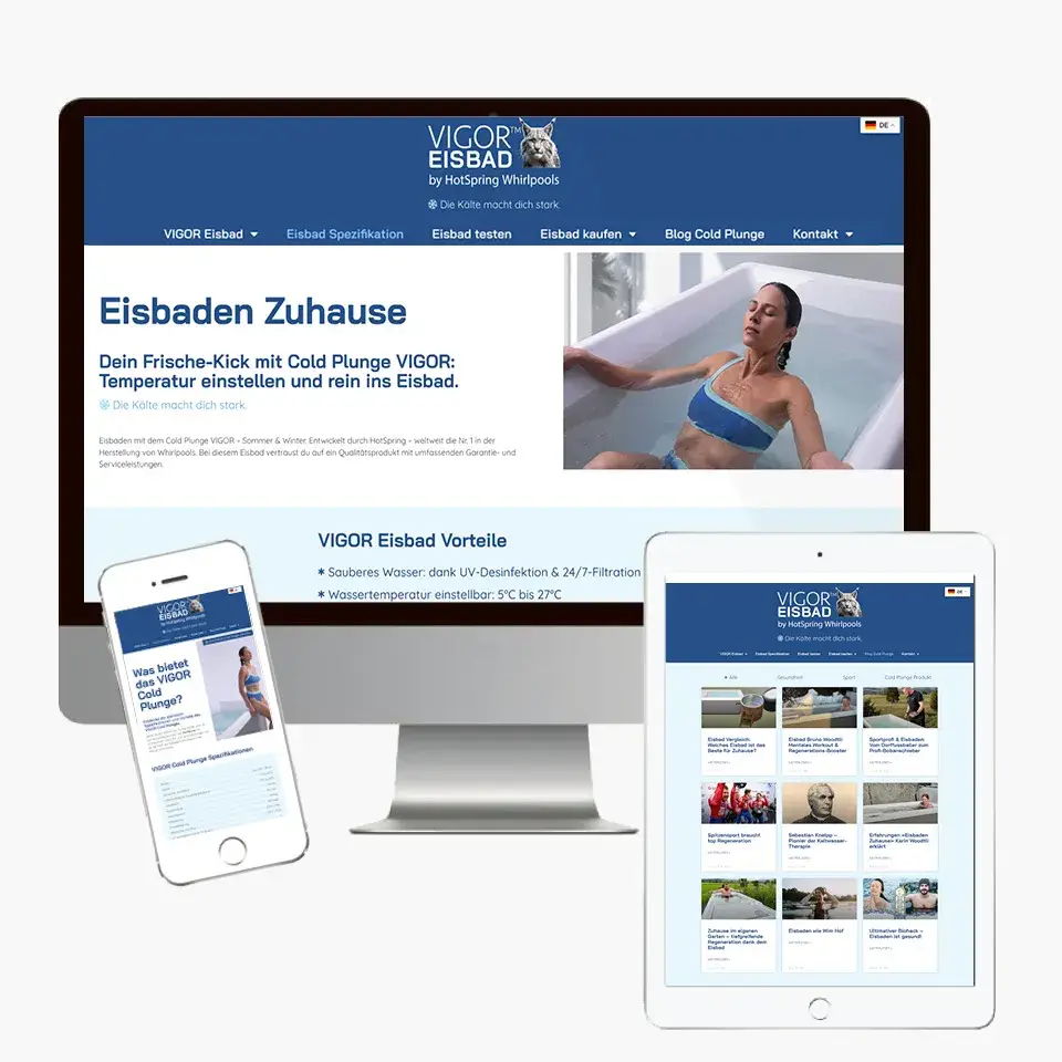 Branding Eisbad Hotspring Website