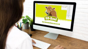 Branding & Firmenauftritt
