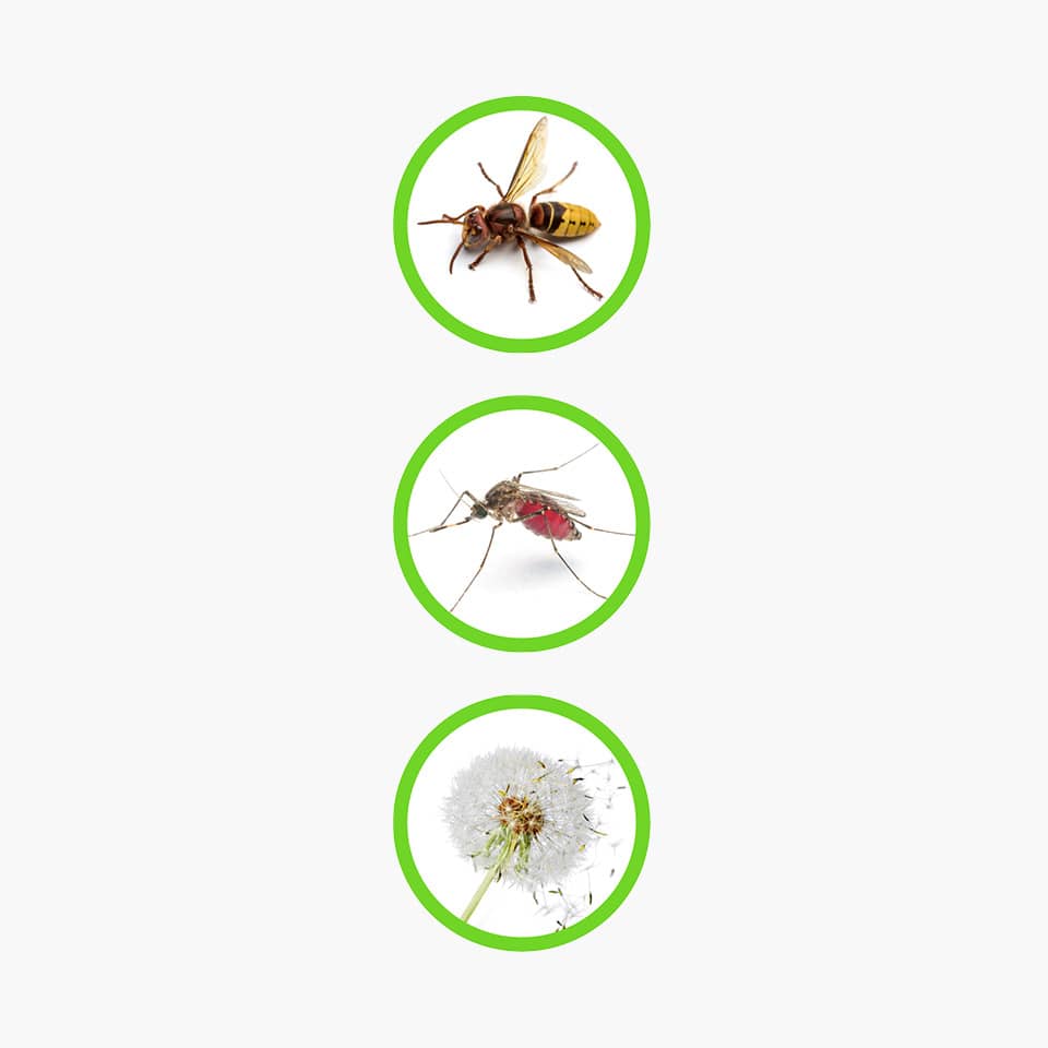 Icons Fliegengitter-Profi