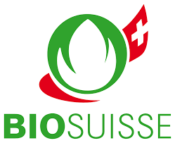 Logodesign Grün Bio